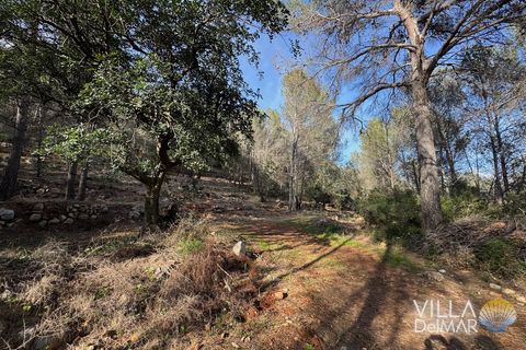Helårsgrund i Jalon, Alicante, Jalon - € 210.000 | Ref: P-601 - foto 8